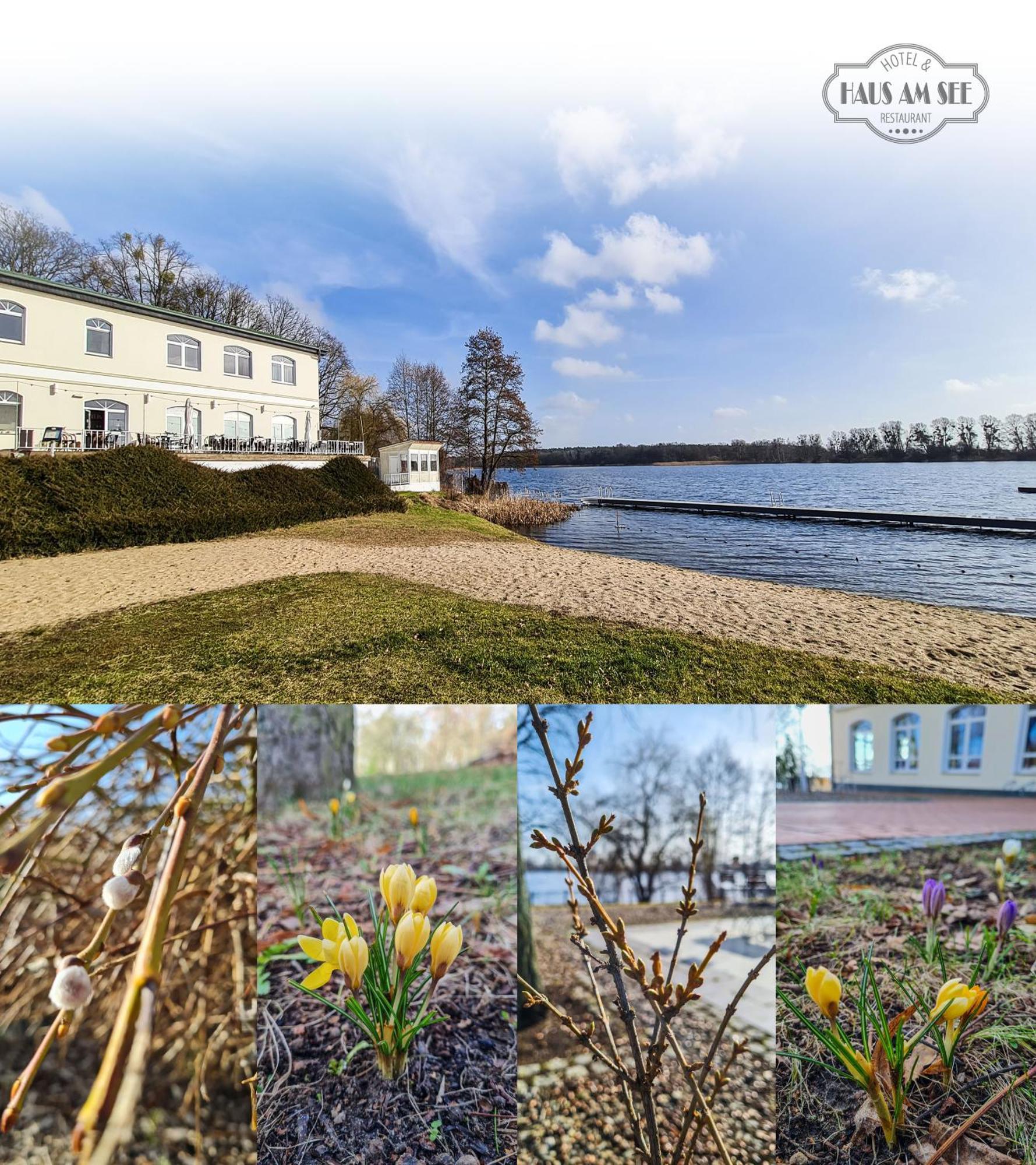 Locknitz Hotel & Restaurant Haus Am See מראה חיצוני תמונה