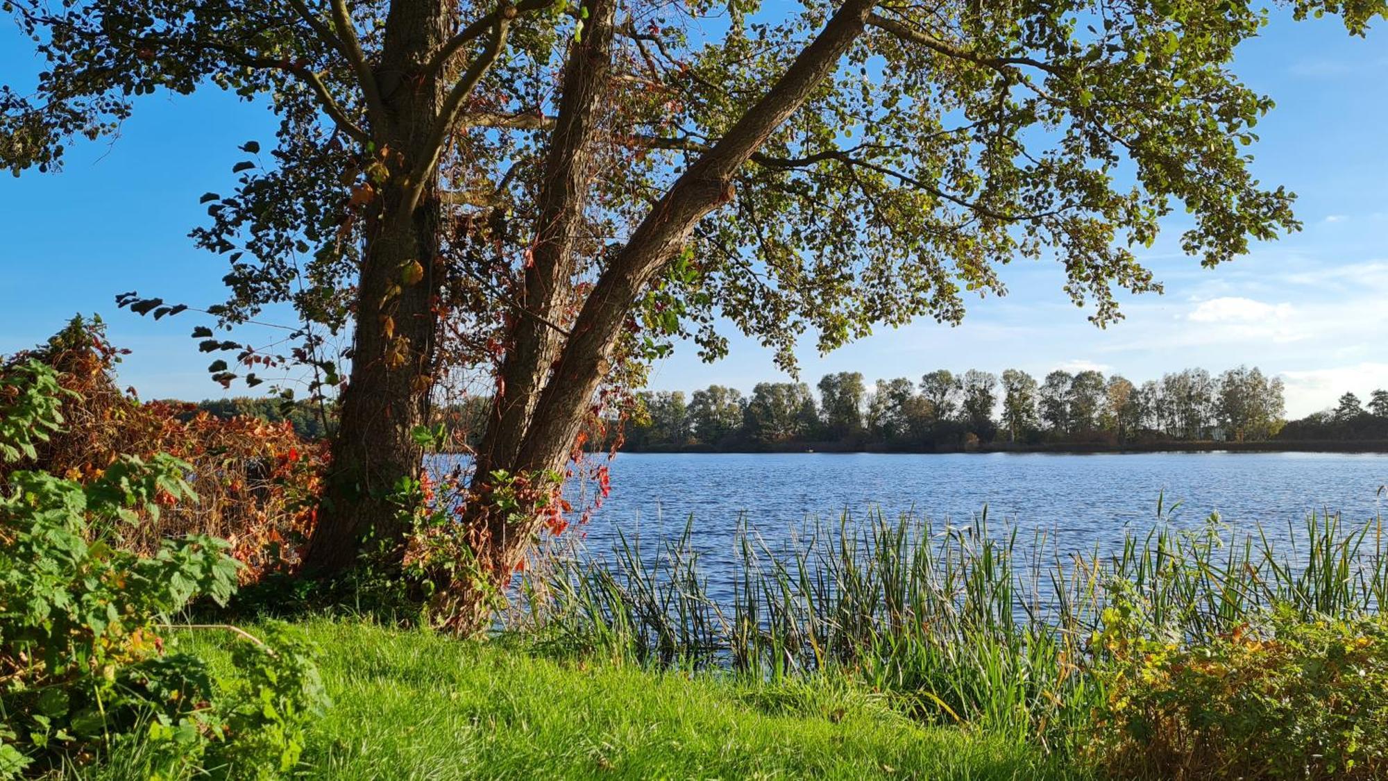 Locknitz Hotel & Restaurant Haus Am See מראה חיצוני תמונה